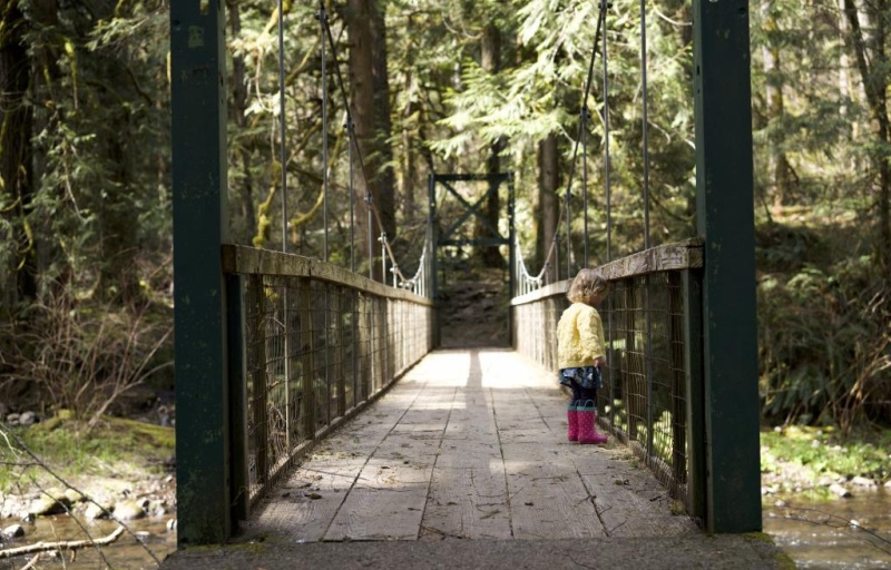 Suspension bridge over the creek