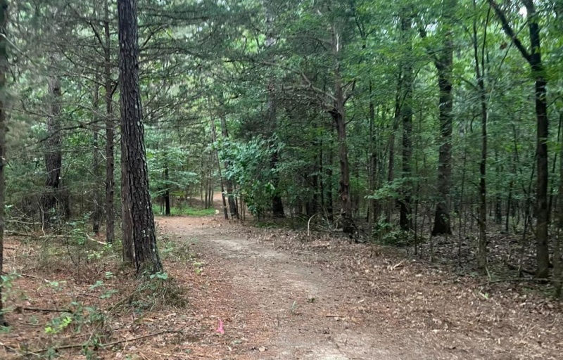 Sylvan Farm | Kids in Parks