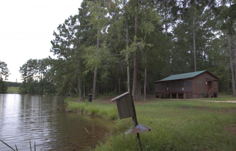 Pond and Duck Box