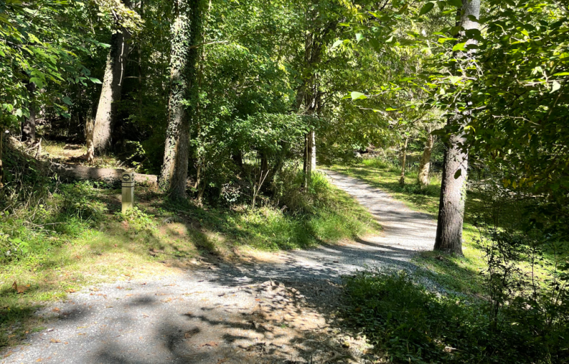 Woods Creek Trail