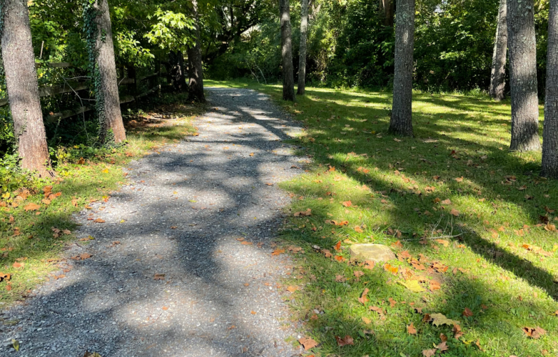 Wildlife at Woods Creek