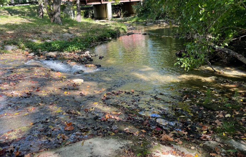 A natural pool in Woods Creek