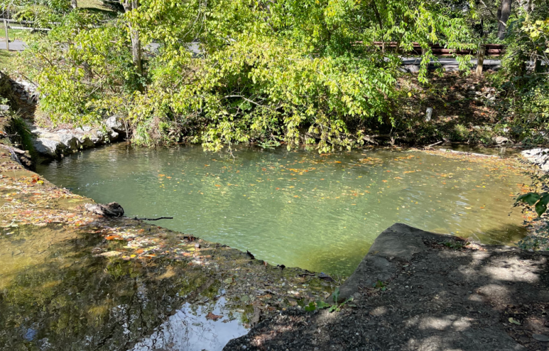 A natural pool in Woods Creek