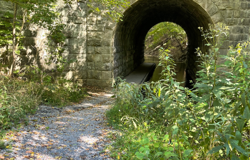 Woods Creek Tunnel