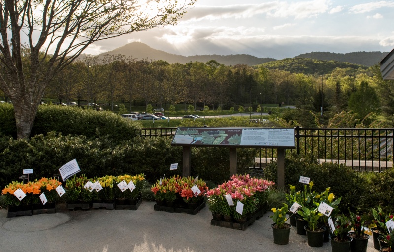 An interpretive sign overlooks the Baker Visitor Center Rain Garden