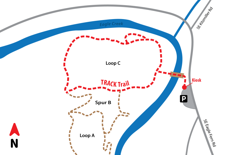 Eagle Fern TRACK Trail Map 