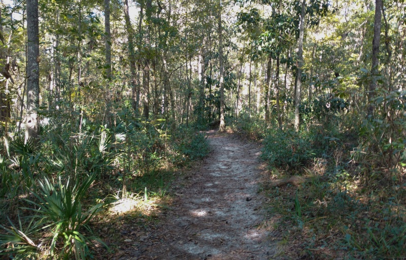 Hogtown Creek Trail