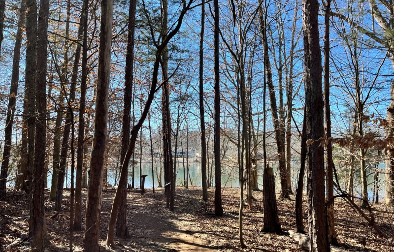 View of Lake Keowee