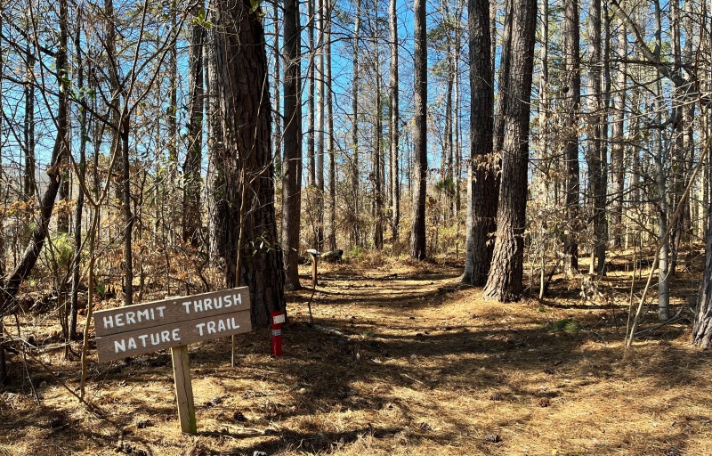 South Cove Trail