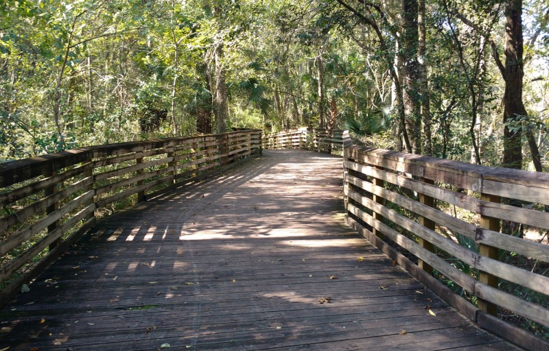 Loblolly Woods Boardwalk