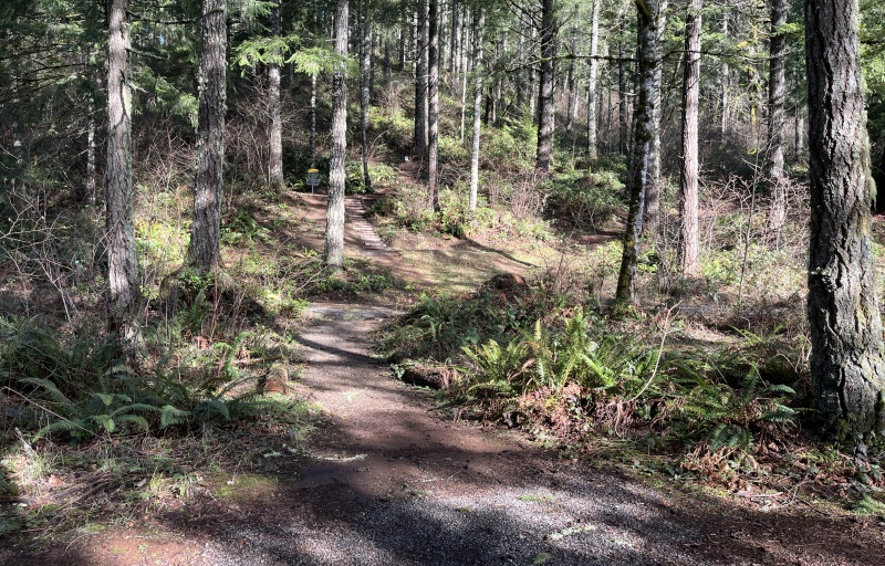 Metzler Park - Hole 3 Fairway