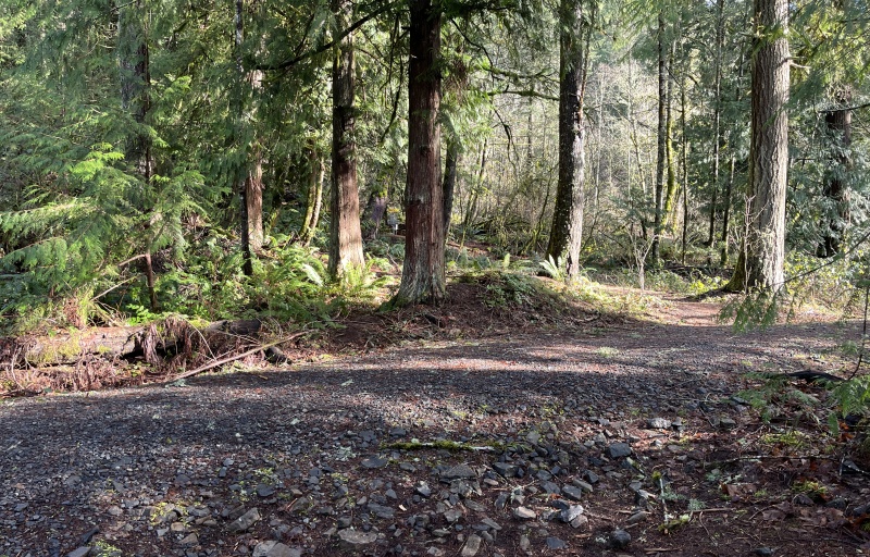 Metzler Park - Hole 6 Fairway