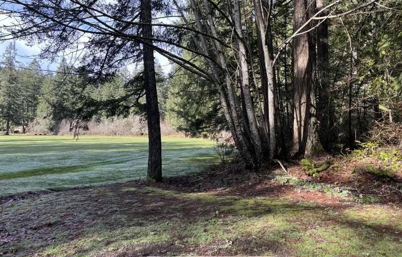 Metzler Park - Hole 8 Fairway