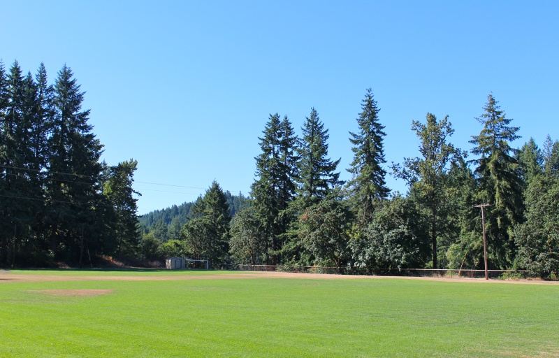 A lush, green Timber Park ballfield