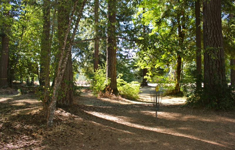 Disc Golf Course at Timber Park