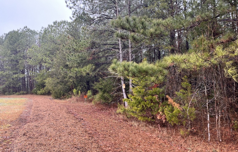 Tohi Trail