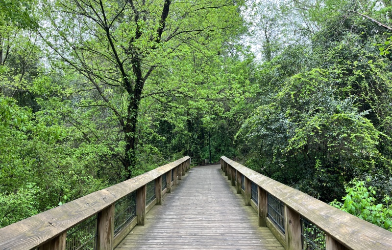 Cayce Boardwalk 