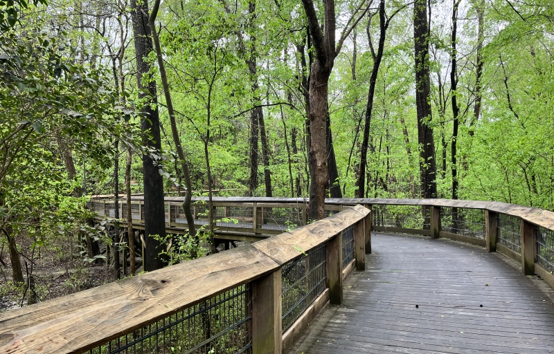 Cayce Riverwalk Boardwalk