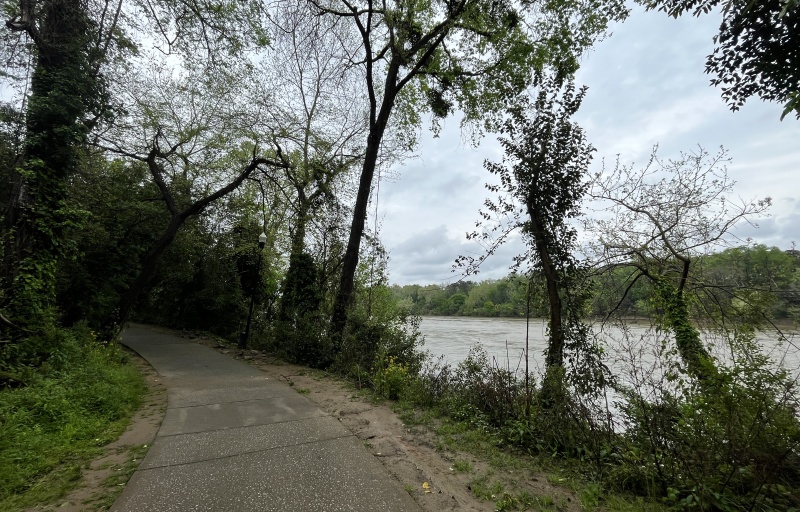 Congaree River - Cayce