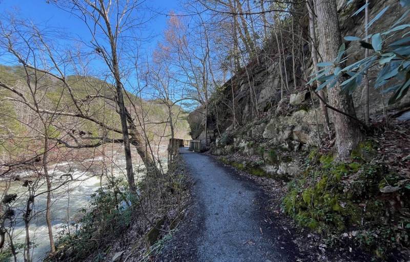 View of the rapids from the trail