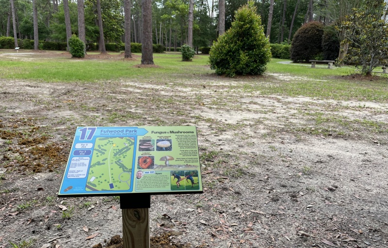 Hole 17 teepad and fairway