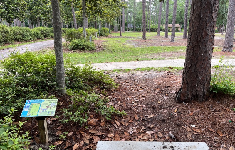 Hole 5 - Teepad and Fairway