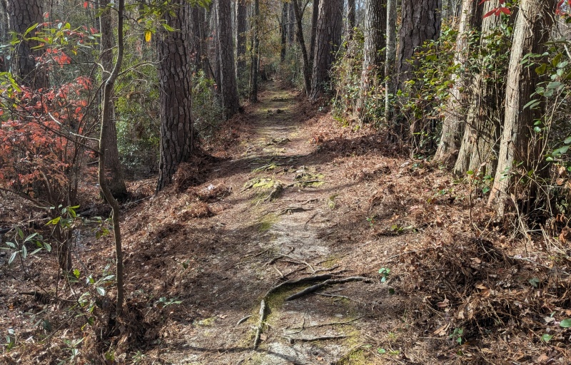 Woods Bay 2