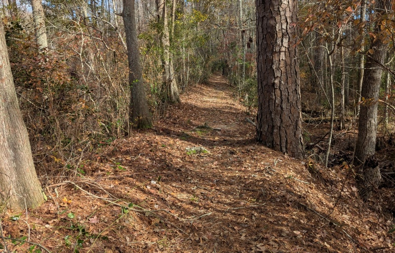 Woods Bay 3