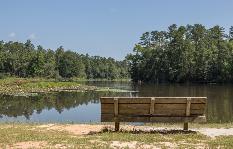 Barnwell Bench 