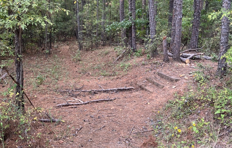 Start of the trail through the woods in Stevens Creek HP