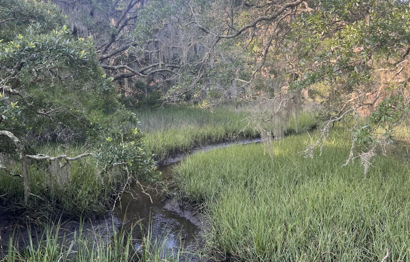 Edisto Beach State Park