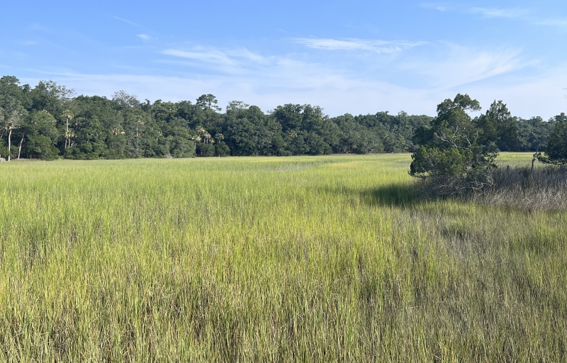 Marsh at Edisto Beach SP