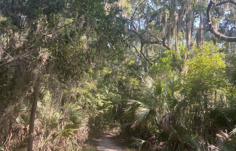 Sandy trail at Edisto Beach SP