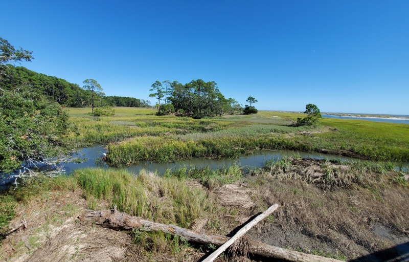 Hunting Island State Park