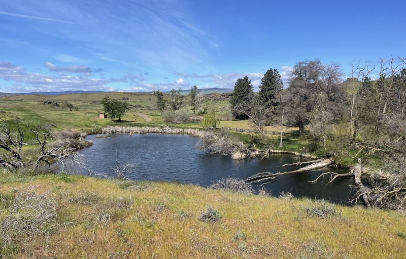 The view of the pond from the trail