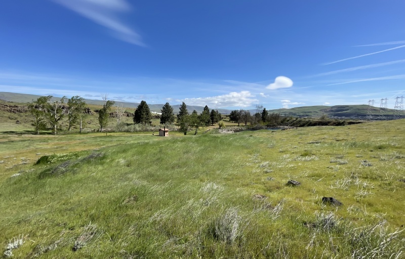 View of the trees and a field from the trail