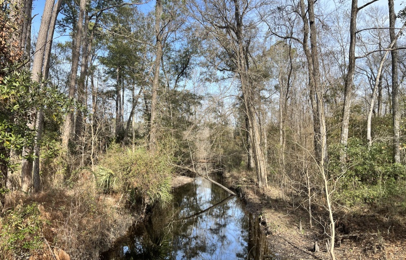 Creek at Walterboro