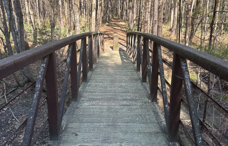 Wooden Bridge