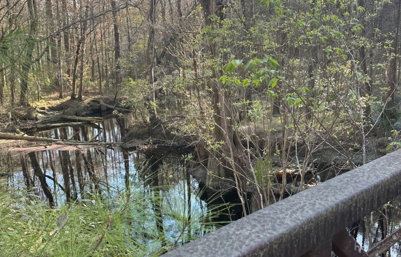 Awendaw Creek