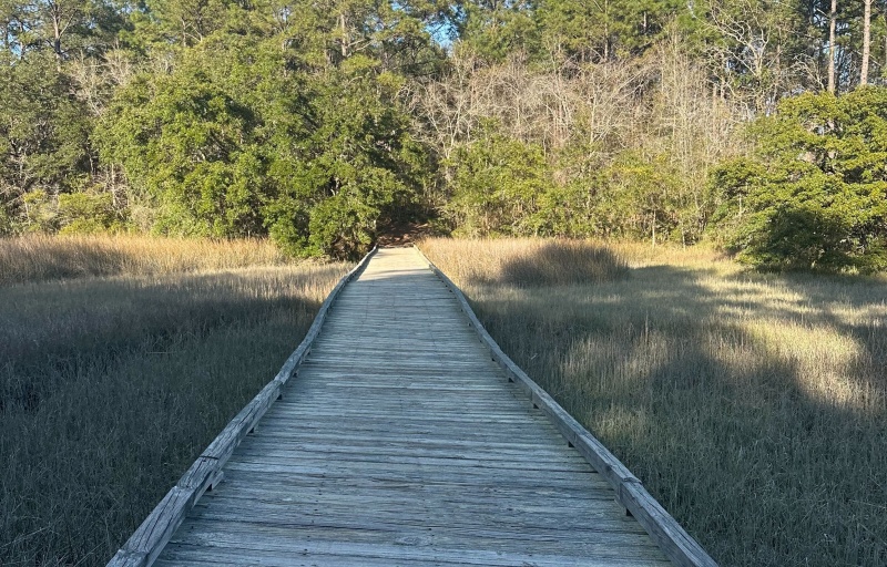 Boardwalk at Awendaw