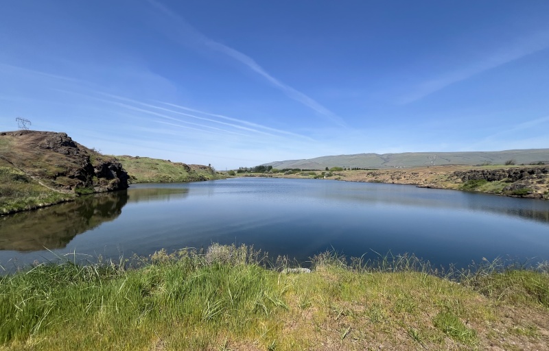 View of the pond from the trail on a beautiful blue day