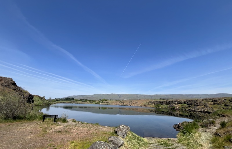 Another view of the pond from around the trail