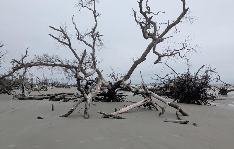 Beach at Hunting Island State Park