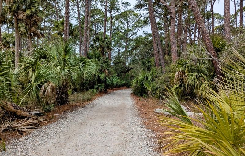 Path at Hunting Island State Park