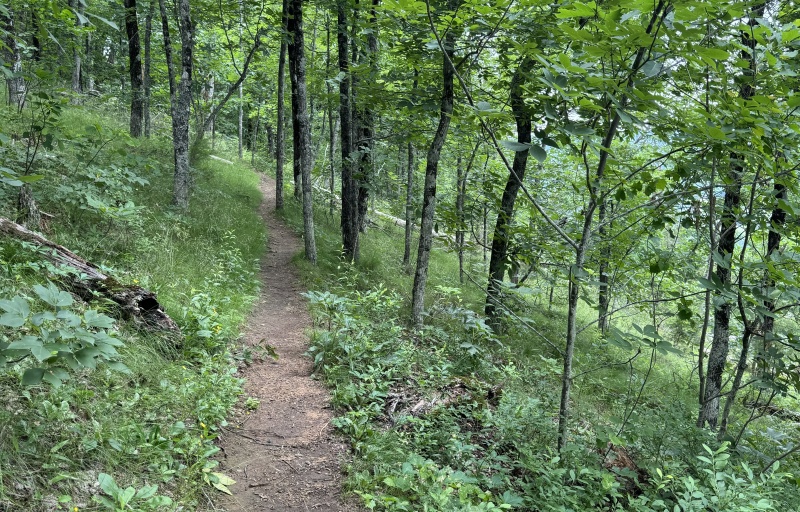 Trail Shot