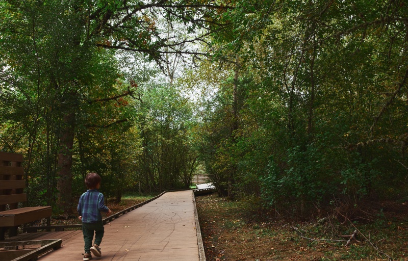 Kid exploring the Happy Valley Park boardwalk