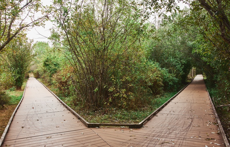 Boardwalks at Happy Valley Park