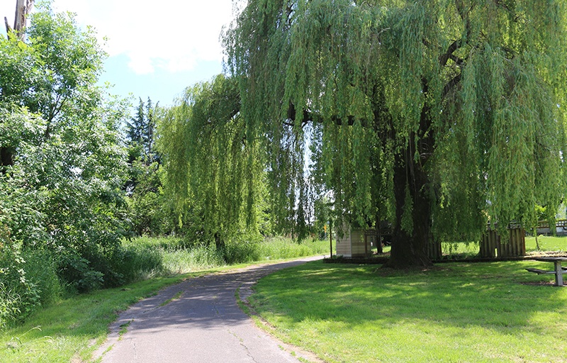 Hermanson Pond trail