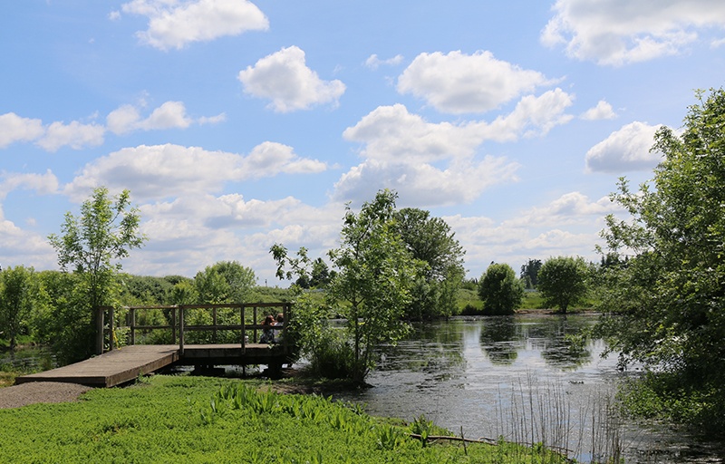 Platform at Hermanson Pond
