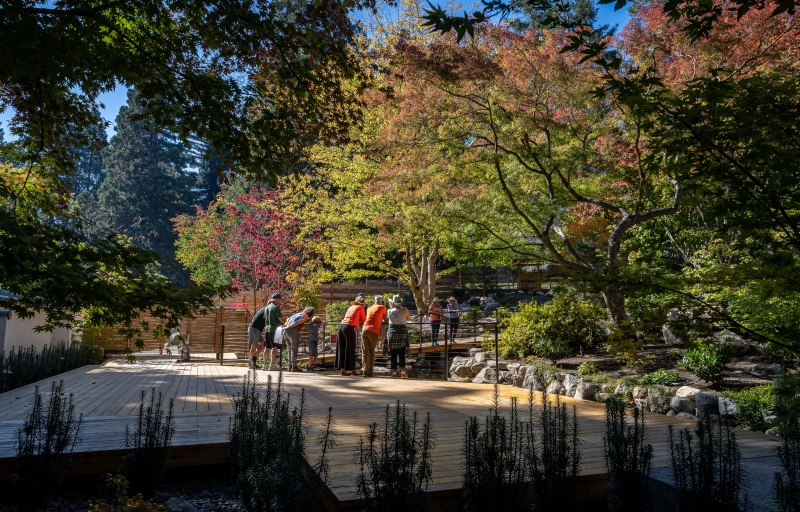 Visitors lean on a rail, looking down from a short bridge at a water feature.